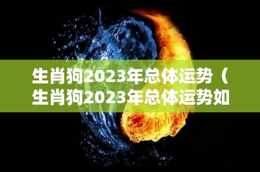 生肖狗2023年总体运势（生肖狗2023年总体运势如何）