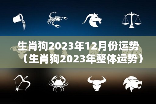 生肖狗2023年12月份运势（生肖狗2023年整体运势）