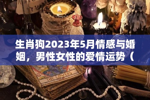 生肖狗2023年5月情感与婚姻，男性女性的爱情运势（2023年属狗人每月之详解）