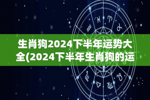 生肖狗2024下半年运势大全(2024下半年生肖狗的运势详解)