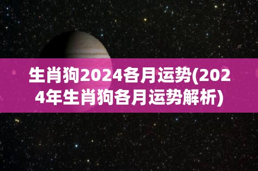生肖狗2024各月运势(2024年生肖狗各月运势解析)