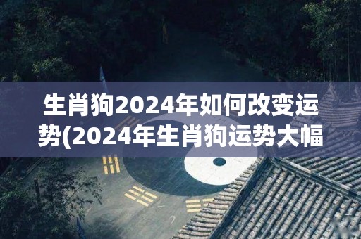 生肖狗2024年如何改变运势(2024年生肖狗运势大幅提升)