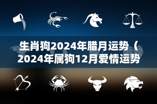 生肖狗2024年腊月运势（2024年属狗12月爱情运势）