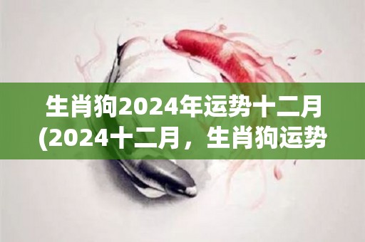 生肖狗2024年运势十二月(2024十二月，生肖狗运势如何？)