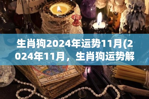 生肖狗2024年运势11月(2024年11月，生肖狗运势解析)