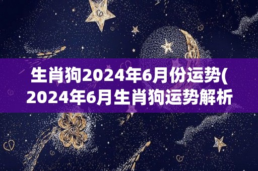 生肖狗2024年6月份运势(2024年6月生肖狗运势解析)