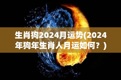 生肖狗2024月运势(2024年狗年生肖人月运如何？)