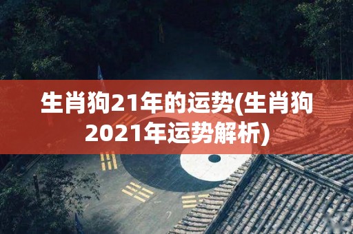 生肖狗21年的运势(生肖狗2021年运势解析)