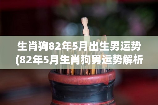 生肖狗82年5月出生男运势(82年5月生肖狗男运势解析)
