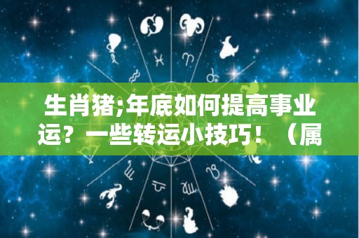 生肖猪;年底如何提高事业运？一些转运小技巧！（属猪人提升运气的办法）