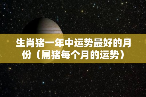 生肖猪一年中运势最好的月份（属猪每个月的运势）
