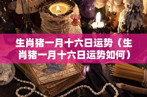 生肖猪一月十六日运势（生肖猪一月十六日运势如何）