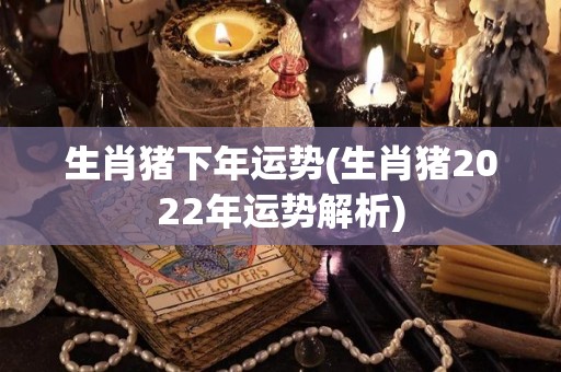 生肖猪下年运势(生肖猪2022年运势解析)