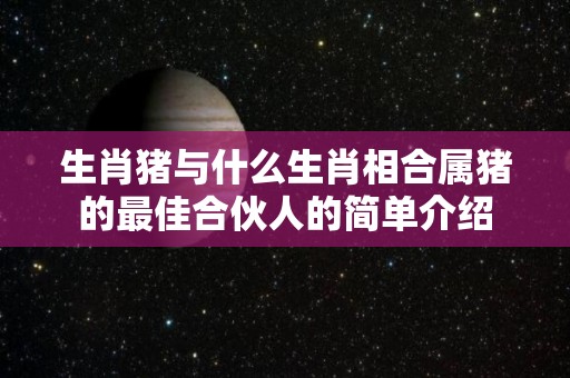 生肖猪与什么生肖相合属猪的最佳合伙人的简单介绍
