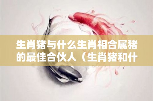 生肖猪与什么生肖相合属猪的最佳合伙人（生肖猪和什么生肖比较合）