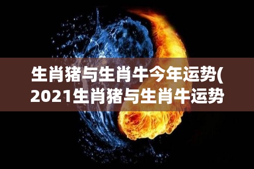 生肖猪与生肖牛今年运势(2021生肖猪与生肖牛运势解析)