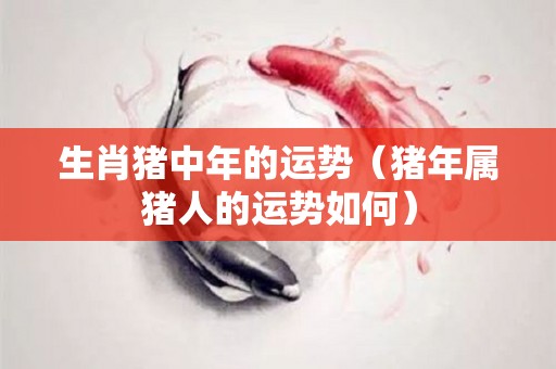 生肖猪中年的运势（猪年属猪人的运势如何）