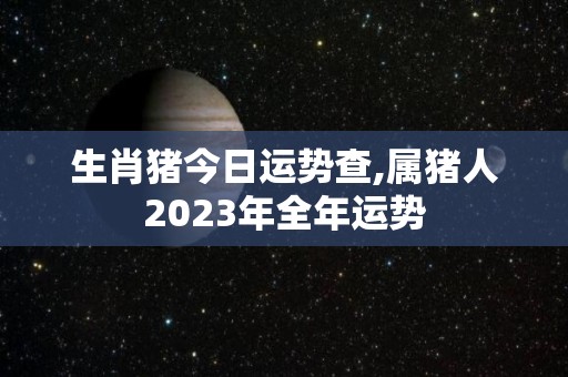 生肖猪今日运势查,属猪人2023年全年运势
