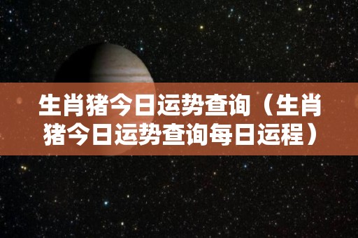 生肖猪今日运势查询（生肖猪今日运势查询每日运程）