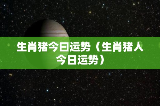 生肖猪今曰运势（生肖猪人今日运势）