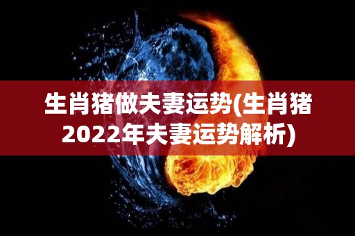 生肖猪做夫妻运势(生肖猪2022年夫妻运势解析)