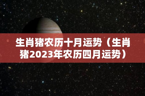 生肖猪农历十月运势（生肖猪2023年农历四月运势）