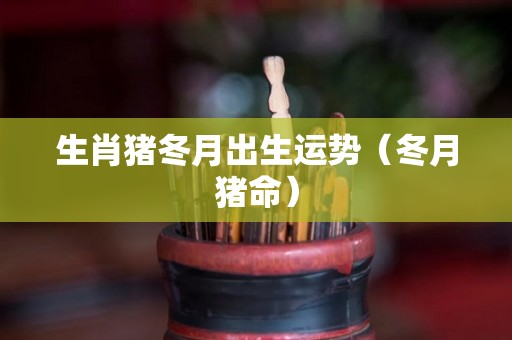 生肖猪冬月出生运势（冬月猪命）
