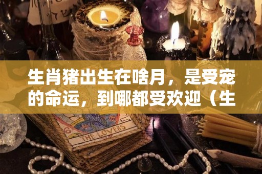生肖猪出生在啥月，是受宠的命运，到哪都受欢迎（生肖猪出生在哪个月命运最好）