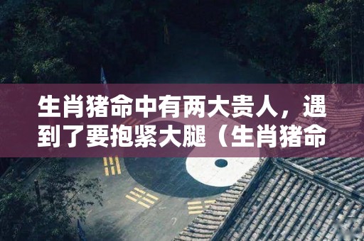生肖猪命中有两大贵人，遇到了要抱紧大腿（生肖猪命中有两大贵人,遇到了要抱紧大腿的人）