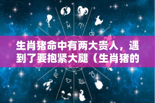 生肖猪命中有两大贵人，遇到了要抱紧大腿（生肖猪的几大贵人）