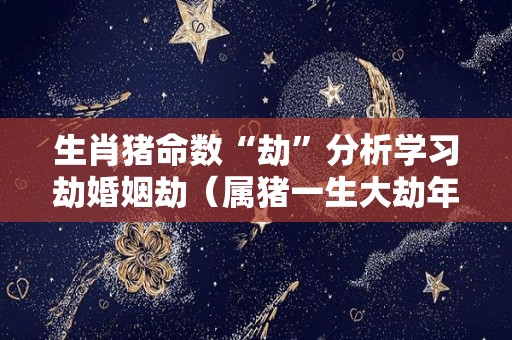 生肖猪命数“劫”分析学习劫婚姻劫（属猪一生大劫年）