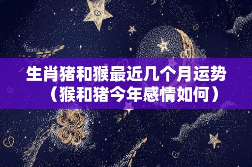生肖猪和猴最近几个月运势（猴和猪今年感情如何）