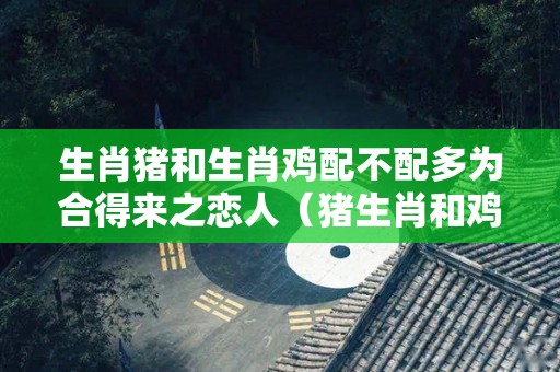 生肖猪和生肖鸡配不配多为合得来之恋人（猪生肖和鸡生肖合得来吗）