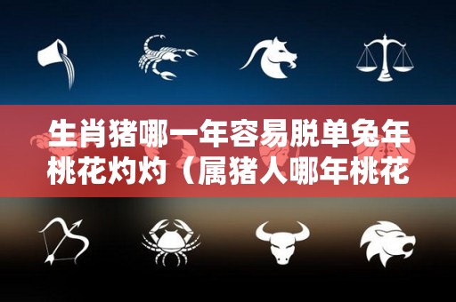 生肖猪哪一年容易脱单兔年桃花灼灼（属猪人哪年桃花运最好）
