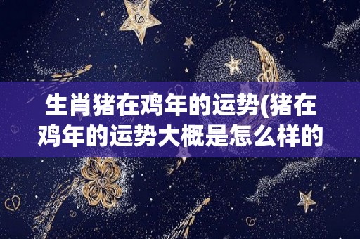 生肖猪在鸡年的运势(猪在鸡年的运势大概是怎么样的？)