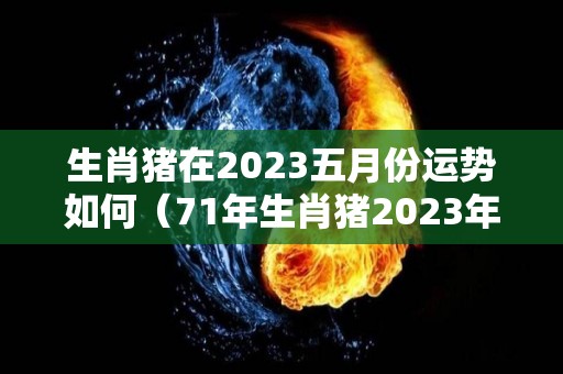 生肖猪在2023五月份运势如何（71年生肖猪2023年运势及运程）