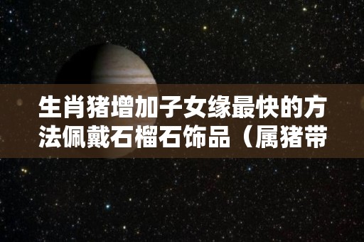 生肖猪增加子女缘最快的方法佩戴石榴石饰品（属猪带什么石）