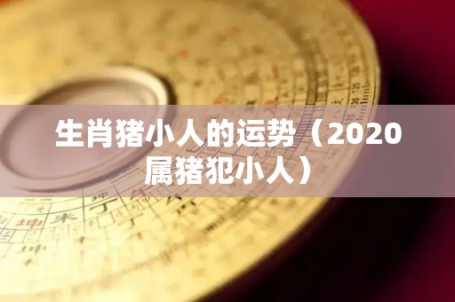 生肖猪小人的运势（2020属猪犯小人）