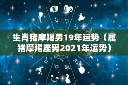 生肖猪摩羯男19年运势（属猪摩羯座男2021年运势）