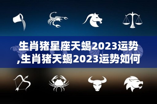 生肖猪星座天蝎2023运势,生肖猪天蝎2023运势如何