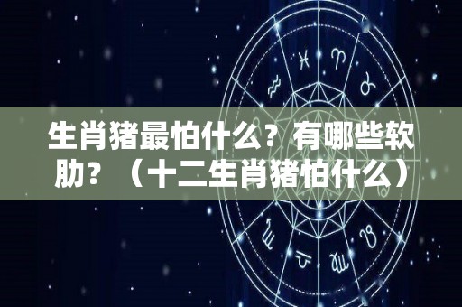 生肖猪最怕什么？有哪些软肋？（十二生肖猪怕什么）