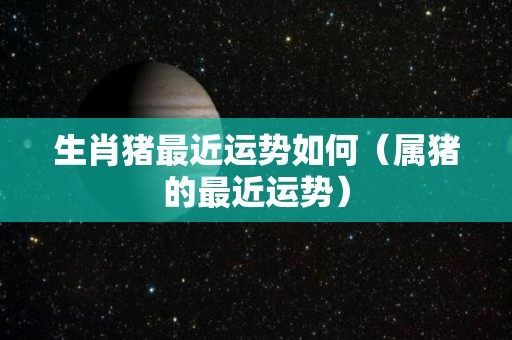 生肖猪最近运势如何（属猪的最近运势）