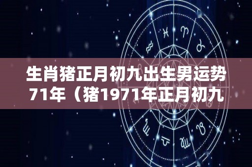 生肖猪正月初九出生男运势71年（猪1971年正月初九出生）