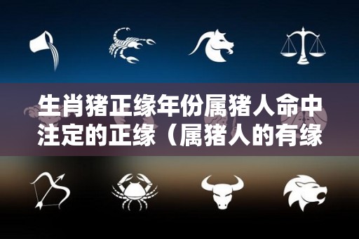 生肖猪正缘年份属猪人命中注定的正缘（属猪人的有缘生肖）