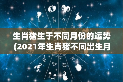 生肖猪生于不同月份的运势(2021年生肖猪不同出生月份的运势大揭秘)