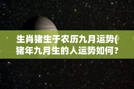 生肖猪生于农历九月运势(猪年九月生的人运势如何？)
