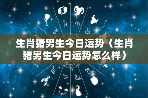 生肖猪男生今日运势（生肖猪男生今日运势怎么样）