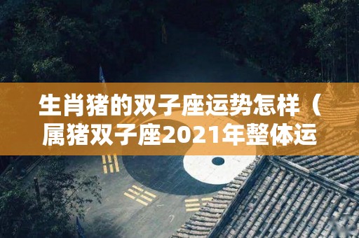 生肖猪的双子座运势怎样（属猪双子座2021年整体运势如何）