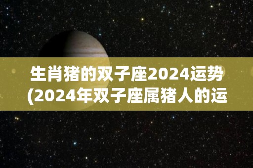 生肖猪的双子座2024运势(2024年双子座属猪人的运程展望)