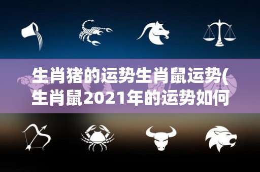 生肖猪的运势生肖鼠运势(生肖鼠2021年的运势如何？)